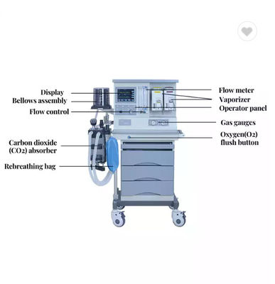 Zwei Zerstäuber-Laufkatzen-Art Anästhesie-Maschine mit 5 Rohr-mechanischem Strömungsmesser