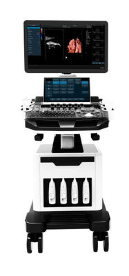Doppler-Ultraschall-Laufkatzen-Ultraschall-Scanner 3D 4D 5D Farbfür OB GYN