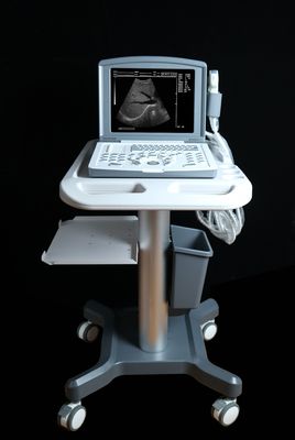 Tragbarer volldigitaler Ultraschalldiagnostischer Scanner OEM
